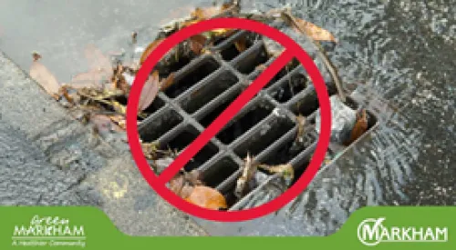 do+not+drain